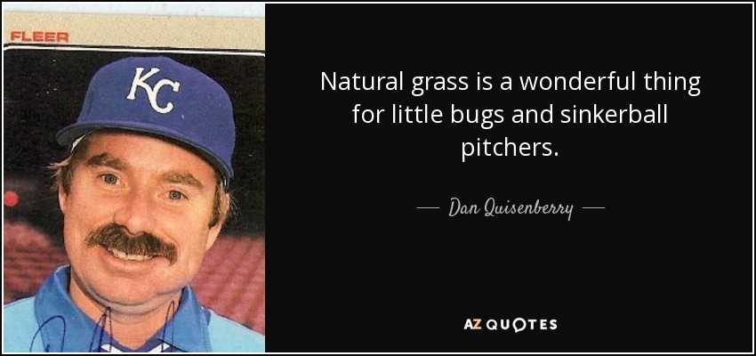 Natural grass is a wonderful thing for little bugs and sinkerball pitchers. - Dan Quisenberry