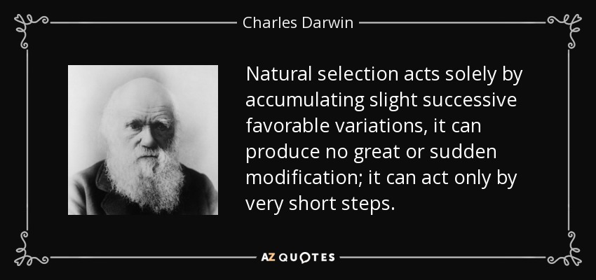 Natural selection acts solely by accumulating slight successive favorable variations, it can produce no great or sudden modification; it can act only by very short steps. - Charles Darwin