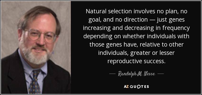 Natural selection involves no plan, no goal, and no direction — just genes increasing and decreasing in frequency depending on whether individuals with those genes have, relative to other individuals, greater or lesser reproductive success. - Randolph M. Nesse