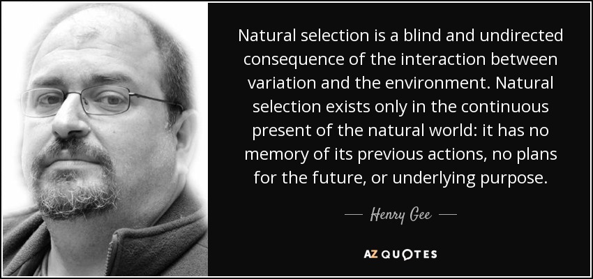 Natural selection is a blind and undirected consequence of the interaction between variation and the environment. Natural selection exists only in the continuous present of the natural world: it has no memory of its previous actions, no plans for the future, or underlying purpose. - Henry Gee