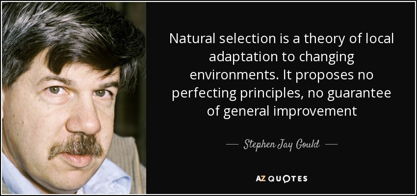 Natural selection is a theory of local adaptation to changing environments. It proposes no perfecting principles, no guarantee of general improvement - Stephen Jay Gould