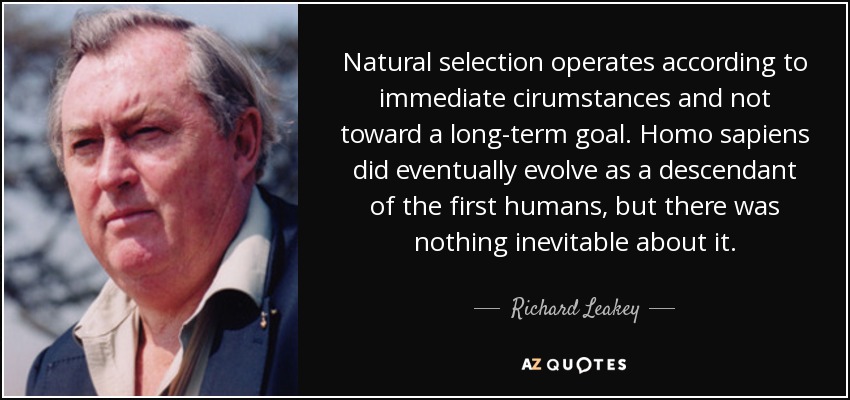 Natural selection operates according to immediate cirumstances and not toward a long-term goal. Homo sapiens did eventually evolve as a descendant of the first humans, but there was nothing inevitable about it. - Richard Leakey