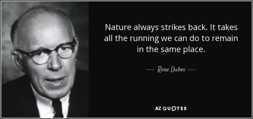 Nature always strikes back. It takes all the running we can do to remain in the same place. - Rene Dubos