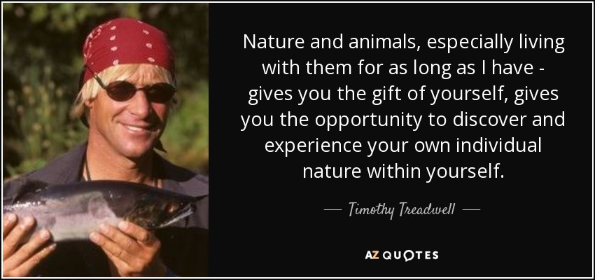 Nature and animals, especially living with them for as long as I have - gives you the gift of yourself, gives you the opportunity to discover and experience your own individual nature within yourself. - Timothy Treadwell