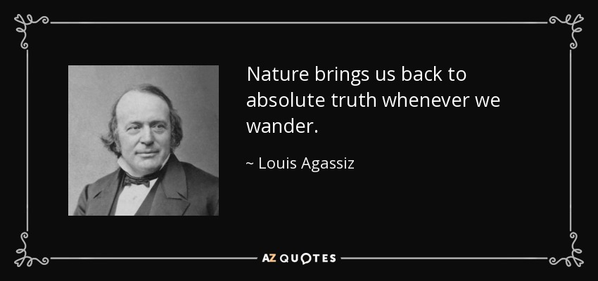 Nature brings us back to absolute truth whenever we wander. - Louis Agassiz