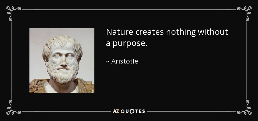Nature creates nothing without a purpose. - Aristotle