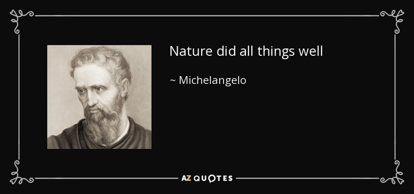 Nature did all things well - Michelangelo