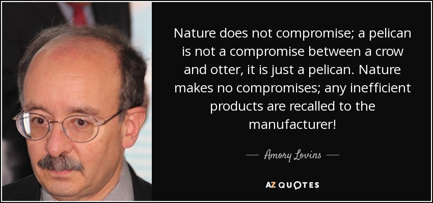 Nature does not compromise; a pelican is not a compromise between a crow and otter, it is just a pelican. Nature makes no compromises; any inefficient products are recalled to the manufacturer! - Amory Lovins