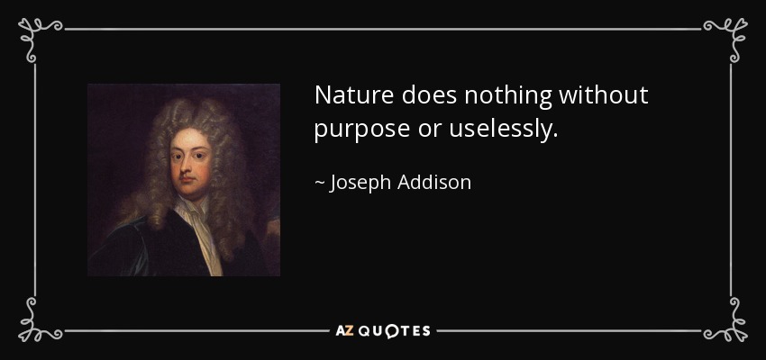 Nature does nothing without purpose or uselessly. - Joseph Addison