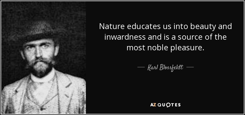 Nature educates us into beauty and inwardness and is a source of the most noble pleasure. - Karl Blossfeldt