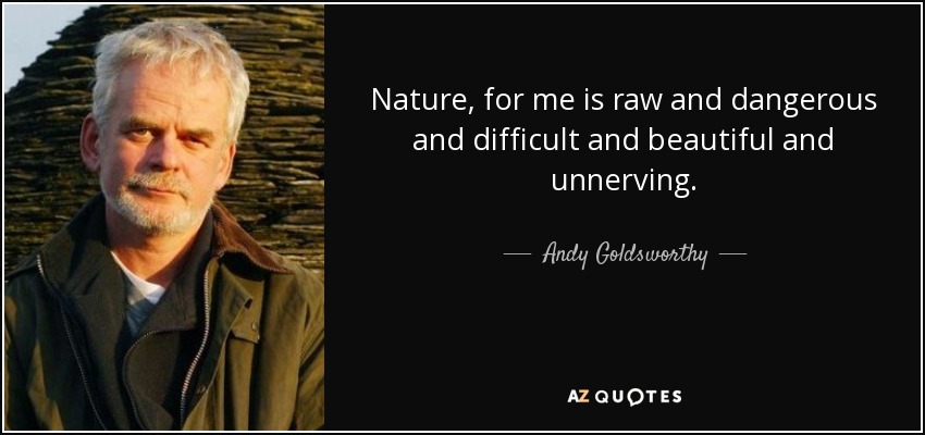 Nature, for me is raw and dangerous and difficult and beautiful and unnerving. - Andy Goldsworthy