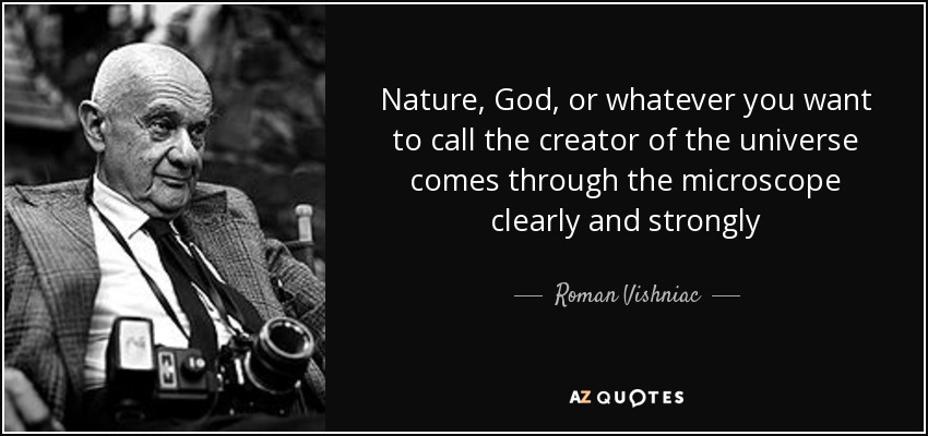 Nature, God, or whatever you want to call the creator of the universe comes through the microscope clearly and strongly - Roman Vishniac
