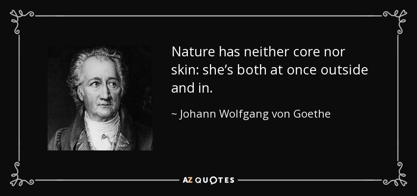 Nature has neither core nor skin: she’s both at once outside and in. - Johann Wolfgang von Goethe