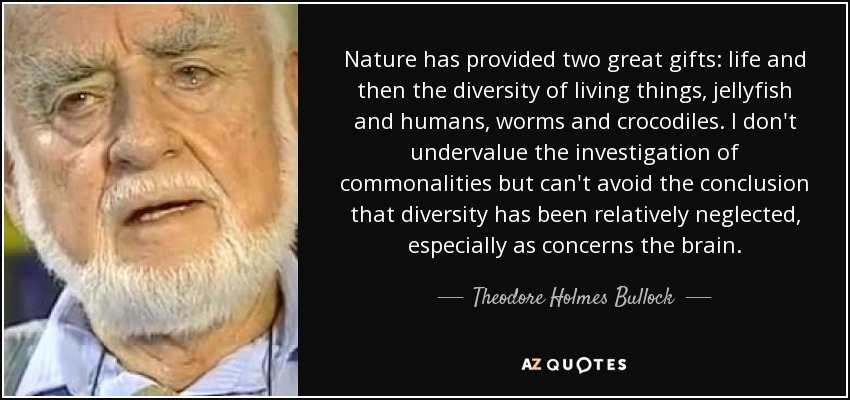 Nature has provided two great gifts: life and then the diversity of living things, jellyfish and humans, worms and crocodiles. I don't undervalue the investigation of commonalities but can't avoid the conclusion that diversity has been relatively neglected, especially as concerns the brain. - Theodore Holmes Bullock