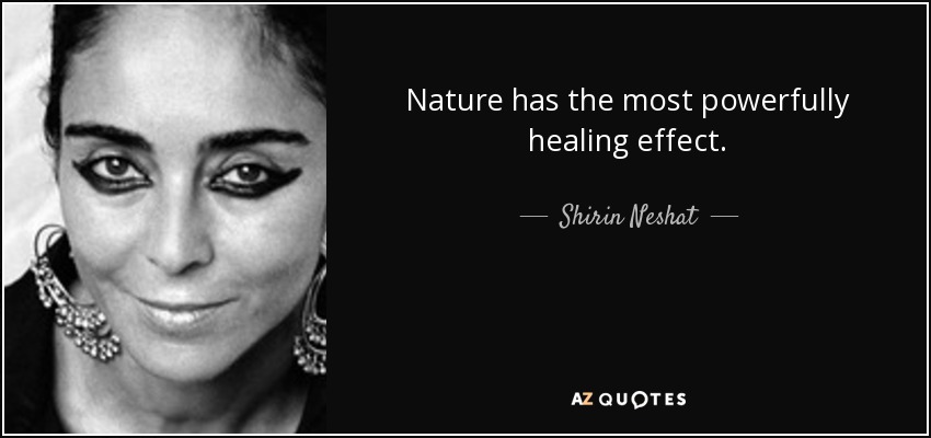 Nature has the most powerfully healing effect. - Shirin Neshat