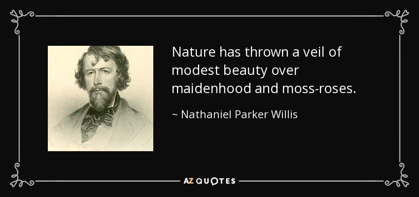 Nature has thrown a veil of modest beauty over maidenhood and moss-roses. - Nathaniel Parker Willis