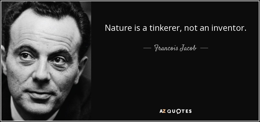 Nature is a tinkerer, not an inventor. - Francois Jacob
