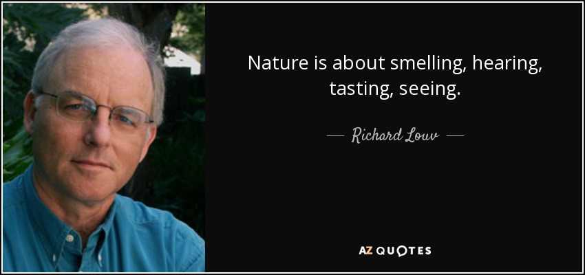 Nature is about smelling, hearing, tasting, seeing. - Richard Louv