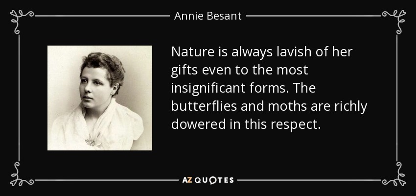 Nature is always lavish of her gifts even to the most insignificant forms. The butterflies and moths are richly dowered in this respect. - Annie Besant