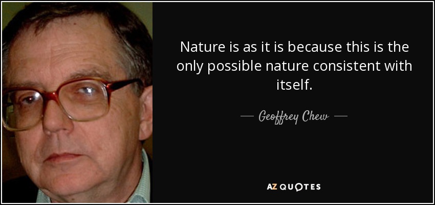Nature is as it is because this is the only possible nature consistent with itself. - Geoffrey Chew