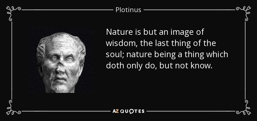 Nature is but an image of wisdom, the last thing of the soul; nature being a thing which doth only do, but not know. - Plotinus