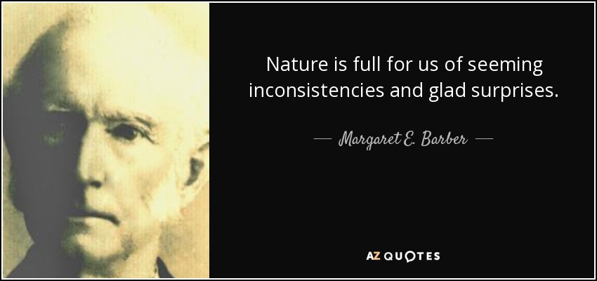 Nature is full for us of seeming inconsistencies and glad surprises. - Margaret E. Barber