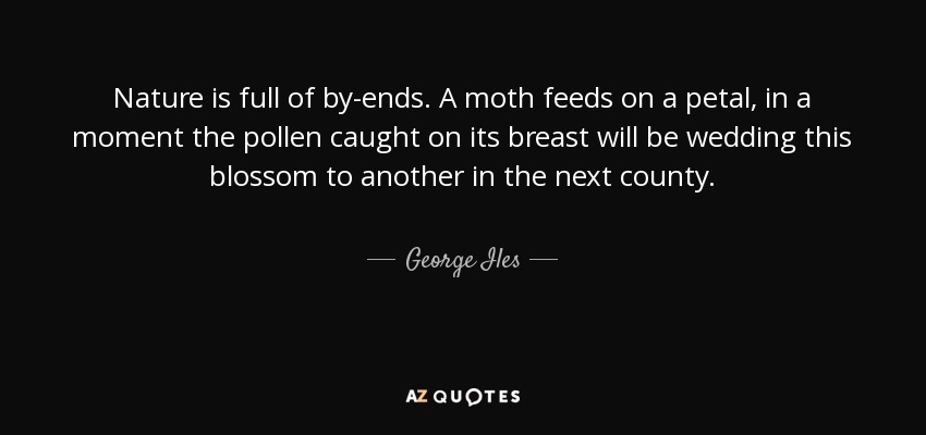 Nature is full of by-ends. A moth feeds on a petal, in a moment the pollen caught on its breast will be wedding this blossom to another in the next county. - George Iles