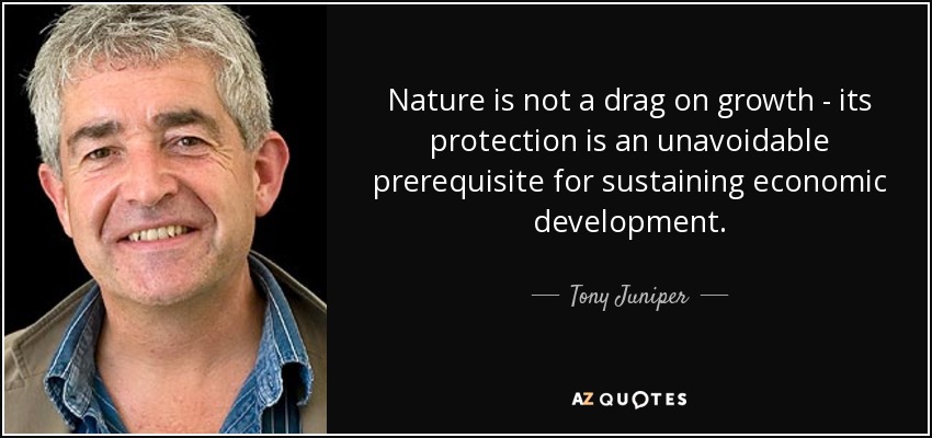 Nature is not a drag on growth - its protection is an unavoidable prerequisite for sustaining economic development. - Tony Juniper