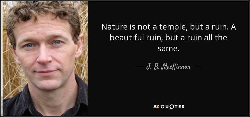 Nature is not a temple, but a ruin. A beautiful ruin, but a ruin all the same. - J. B. MacKinnon