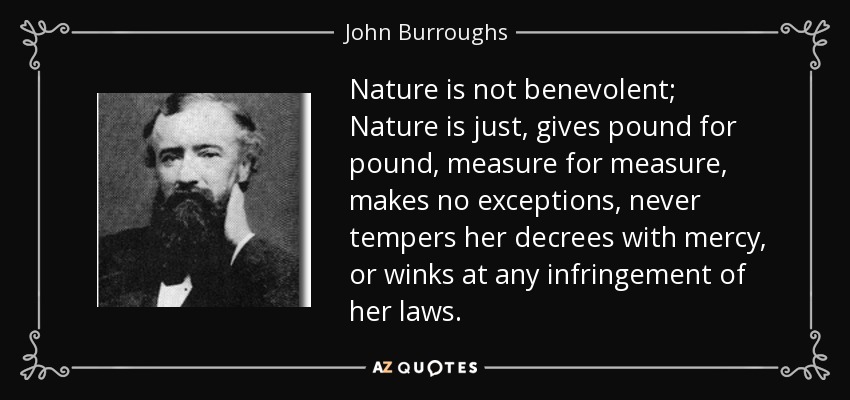 Nature is not benevolent; Nature is just, gives pound for pound, measure for measure, makes no exceptions, never tempers her decrees with mercy, or winks at any infringement of her laws. - John Burroughs