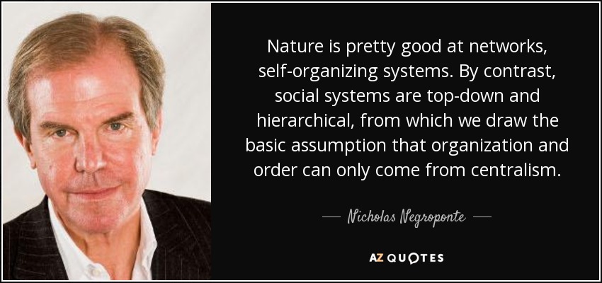 Nature is pretty good at networks, self-organizing systems. By contrast, social systems are top-down and hierarchical, from which we draw the basic assumption that organization and order can only come from centralism. - Nicholas Negroponte