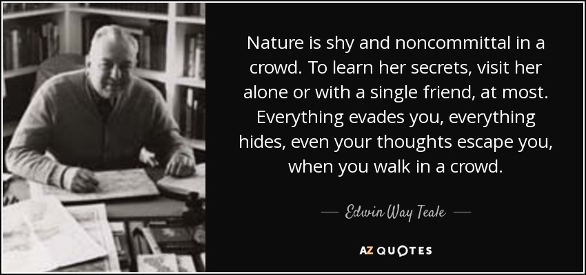 Nature is shy and noncommittal in a crowd. To learn her secrets, visit her alone or with a single friend, at most. Everything evades you, everything hides, even your thoughts escape you, when you walk in a crowd. - Edwin Way Teale