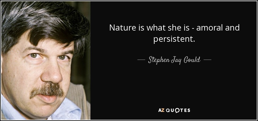 Nature is what she is - amoral and persistent. - Stephen Jay Gould