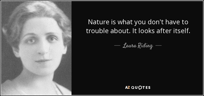 Nature is what you don't have to trouble about. It looks after itself. - Laura Riding