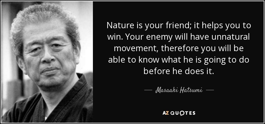 Nature is your friend; it helps you to win. Your enemy will have unnatural movement, therefore you will be able to know what he is going to do before he does it. - Masaaki Hatsumi