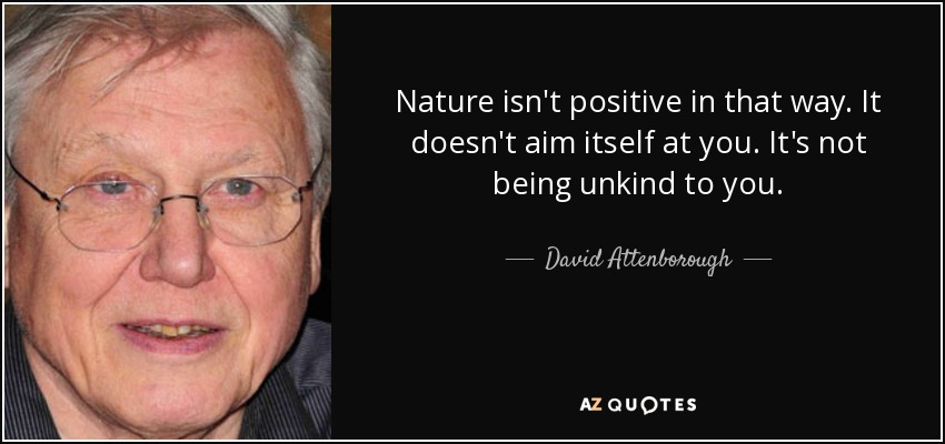 Nature isn't positive in that way. It doesn't aim itself at you. It's not being unkind to you. - David Attenborough