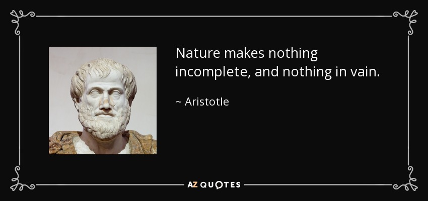 Nature makes nothing incomplete, and nothing in vain. - Aristotle