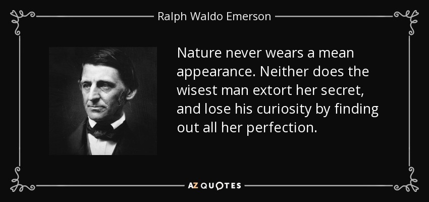 Nature never wears a mean appearance. Neither does the wisest man extort her secret, and lose his curiosity by finding out all her perfection. - Ralph Waldo Emerson