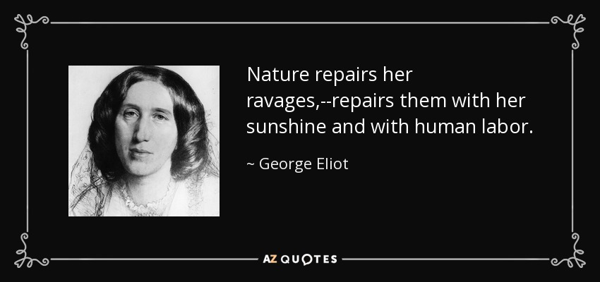 Nature repairs her ravages,--repairs them with her sunshine and with human labor. - George Eliot