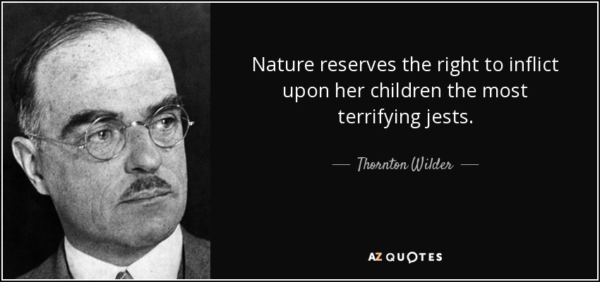 Nature reserves the right to inflict upon her children the most terrifying jests. - Thornton Wilder