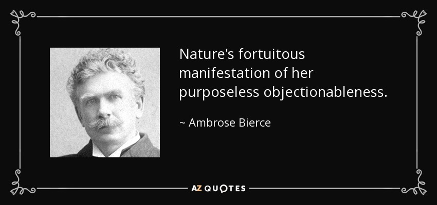 Nature's fortuitous manifestation of her purposeless objectionableness. - Ambrose Bierce