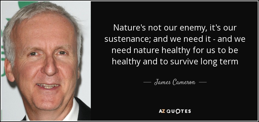Nature's not our enemy, it's our sustenance; and we need it - and we need nature healthy for us to be healthy and to survive long term - James Cameron
