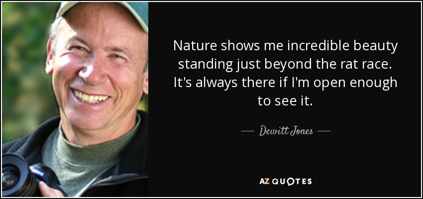 Nature shows me incredible beauty standing just beyond the rat race. It's always there if I'm open enough to see it. - Dewitt Jones