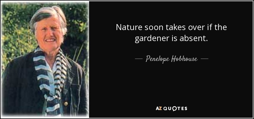 Nature soon takes over if the gardener is absent. - Penelope Hobhouse
