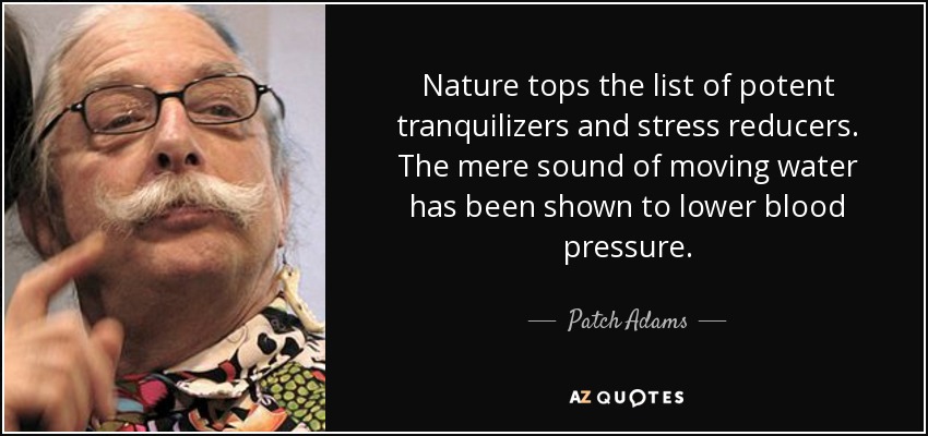 Nature tops the list of potent tranquilizers and stress reducers. The mere sound of moving water has been shown to lower blood pressure. - Patch Adams