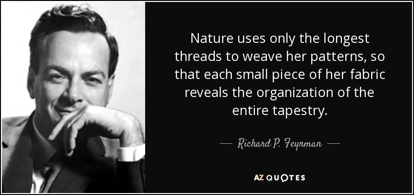 Nature uses only the longest threads to weave her patterns, so that each small piece of her fabric reveals the organization of the entire tapestry. - Richard P. Feynman