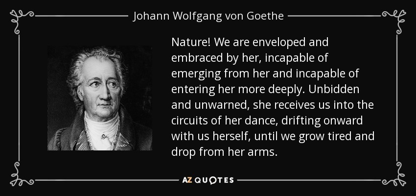 Nature! We are enveloped and embraced by her, incapable of emerging from her and incapable of entering her more deeply. Unbidden and unwarned, she receives us into the circuits of her dance, drifting onward with us herself, until we grow tired and drop from her arms. - Johann Wolfgang von Goethe