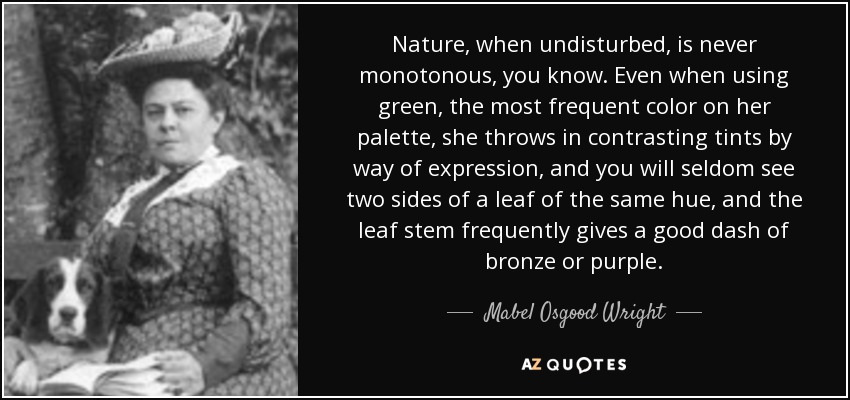 Nature, when undisturbed, is never monotonous, you know. Even when using green, the most frequent color on her palette, she throws in contrasting tints by way of expression, and you will seldom see two sides of a leaf of the same hue, and the leaf stem frequently gives a good dash of bronze or purple. - Mabel Osgood Wright