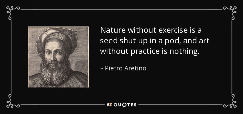 Nature without exercise is a seed shut up in a pod, and art without practice is nothing. - Pietro Aretino