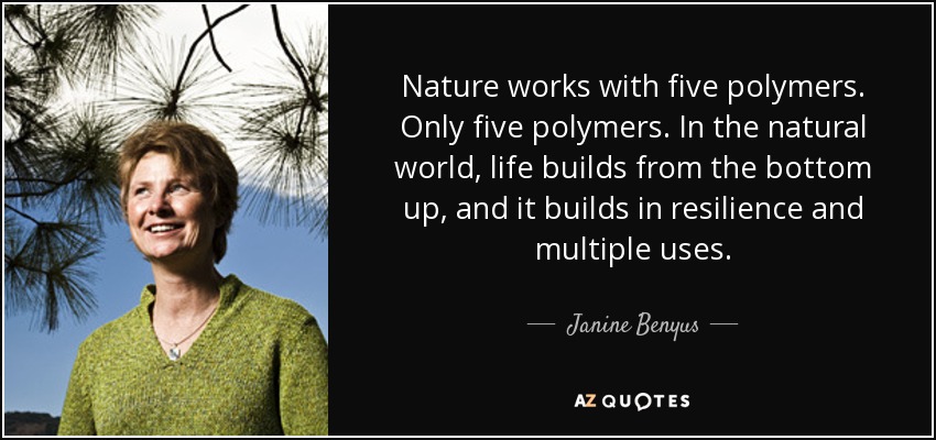 Nature works with five polymers. Only five polymers. In the natural world, life builds from the bottom up, and it builds in resilience and multiple uses. - Janine Benyus